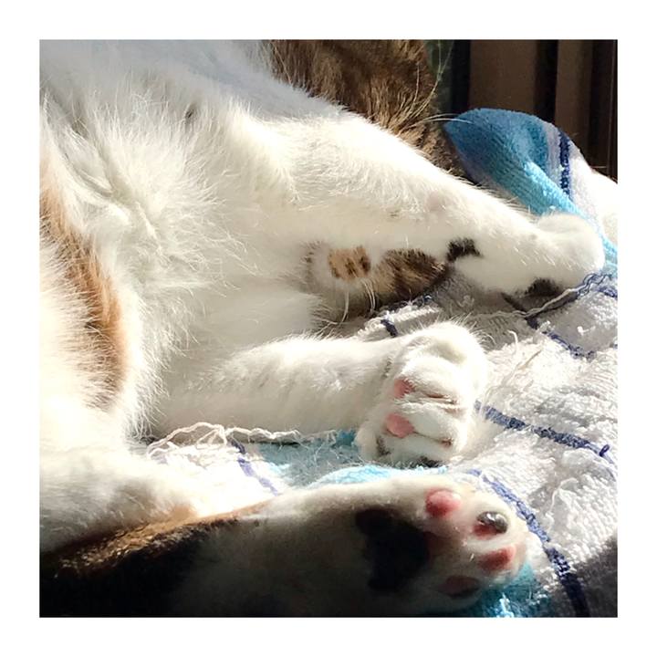 D69a7dbf d0d3 489f 85c1 f151449b4492 1645954546036