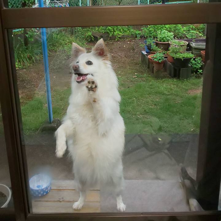 D69adff3 1c52 4825 9c35 1123615defca 1622807452009