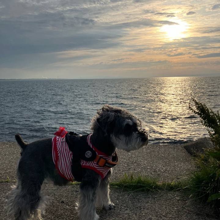 D69af1a7 c6b9 4e89 b54d bc1e59557a07 1748697394143