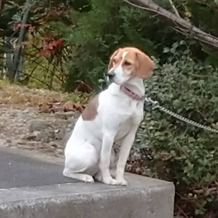 D69af97c 483d 45a4 b725 27d45fc0a992 1579589708995