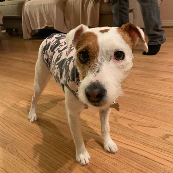 D69b0fbd 44f8 416f 9942 10edaa408123 1547609318780