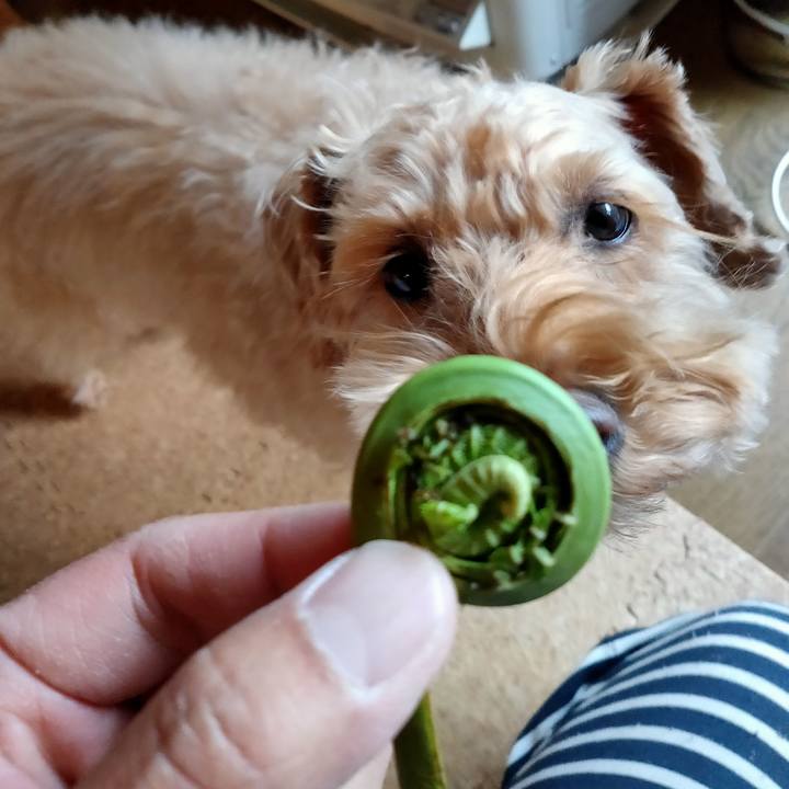 D69b1fdf 82a3 458a 87d2 3e655a8dd7e4 1590102285476