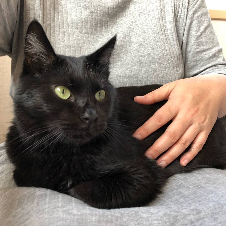 D69b3fd3 c9f5 4ef6 8cc6 7717ebb7d186 1562489555241