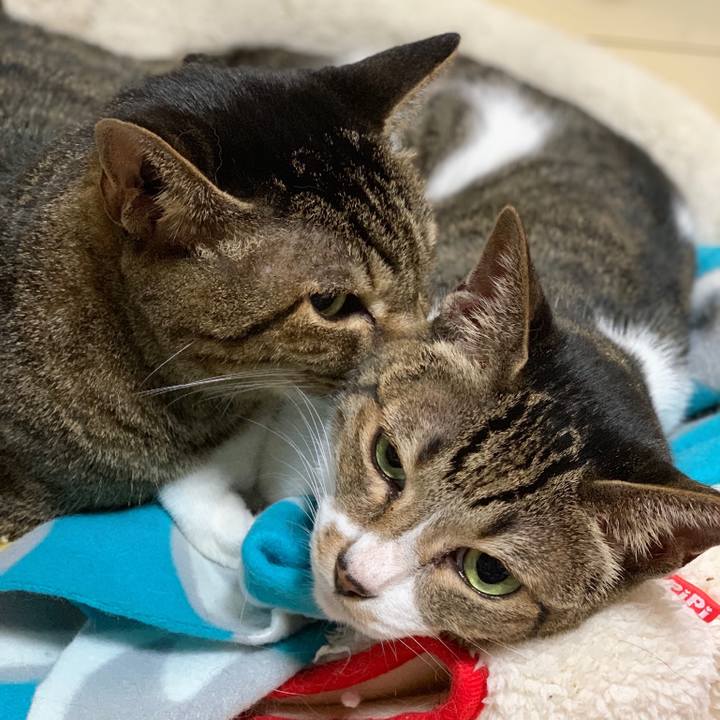 D69b63d7 fe6e 4cde ba60 2338f63382df 1538702141445