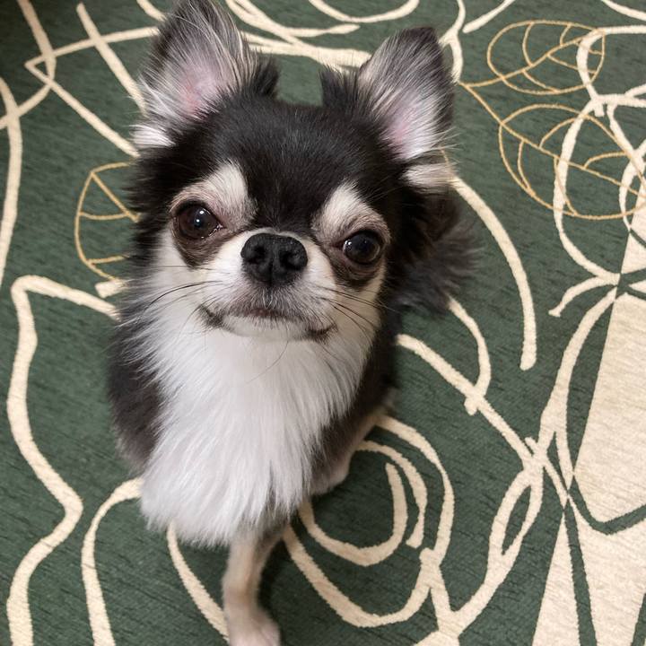 D69ba188 186e 45c2 86f8 fd12013ab75e 1647179635678