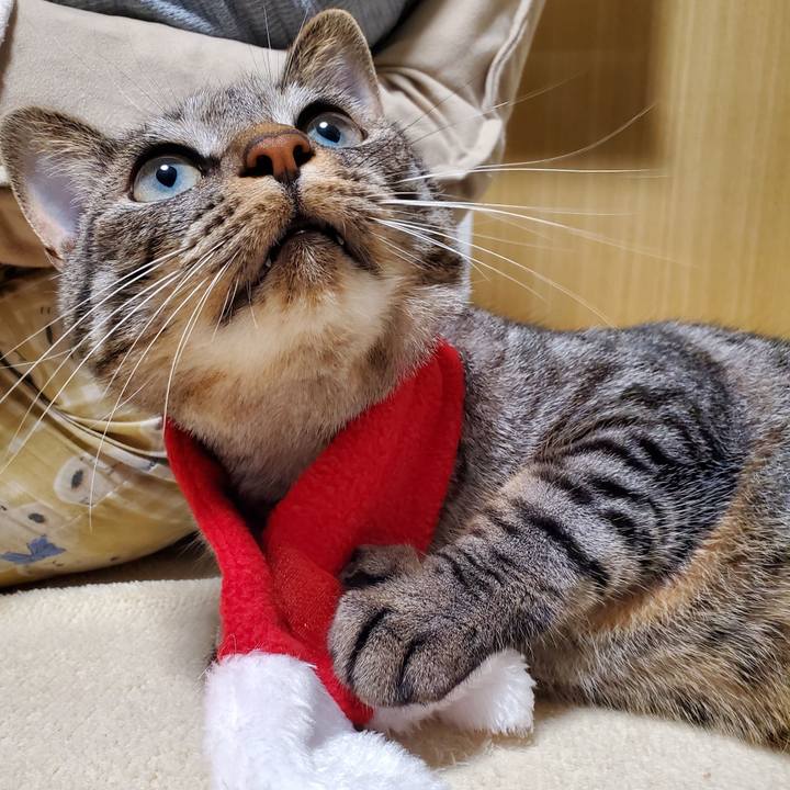 D69bab09 b70e 4ee1 88bd 6234d4002a36 1700916291347