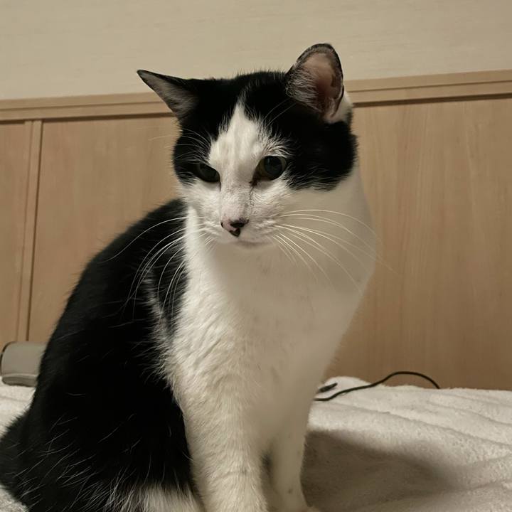 D69bd56e b01e 4405 ba77 23a2d5e3606a 1643384997014