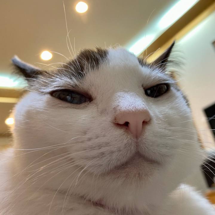 D69be15e af42 4e44 8abc f517ee0cc6ba 1638770778295