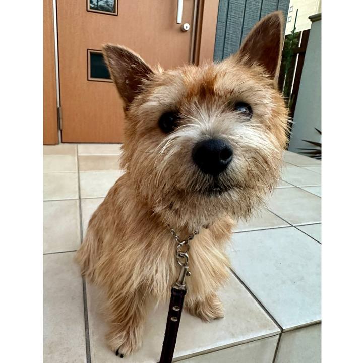 D69bfcb2 add6 48c1 a8fa d27b96112c5a 1736414135825