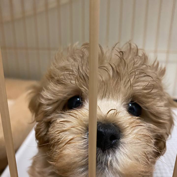 D69c0372 47f6 4e68 ba11 197402fed896 1756943829270