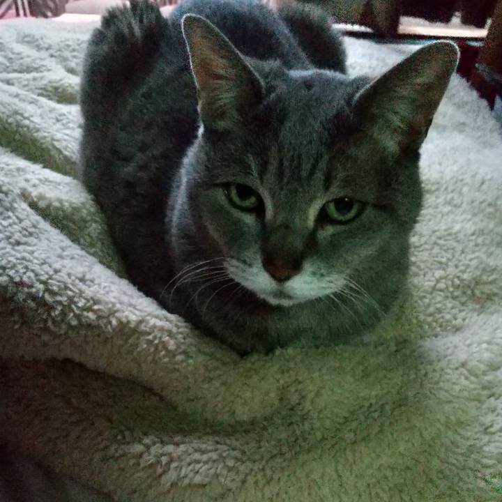 D69c211c 2f58 4649 8c03 47408dc93ffe 1679648395601