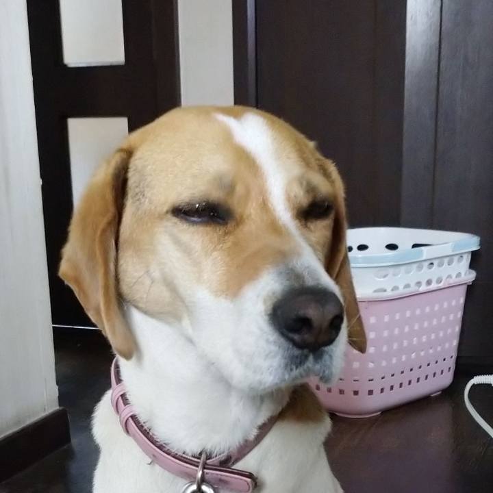 D69c3912 e45a 4fcc b2a6 4c4263387664 1586497423050