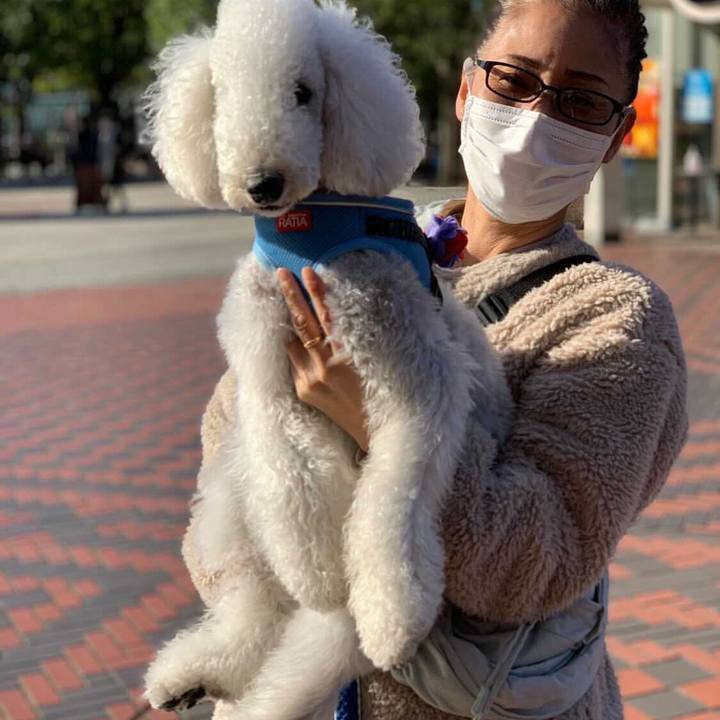 D69c7fc5 9172 45e8 bf00 bf15819e54c9 1633246706761