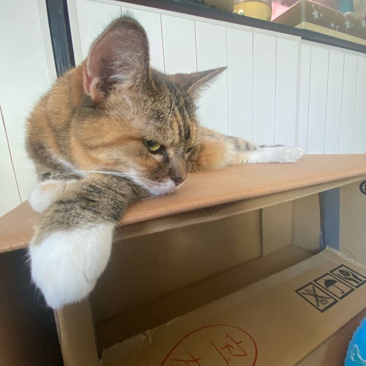 D69c8409 82c8 4205 b505 a4e61a4dddaa 1724567781147