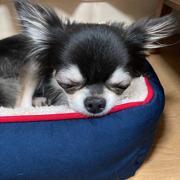 D69c8a07 f2dc 4992 afd1 3d1840638be5 1635601088276