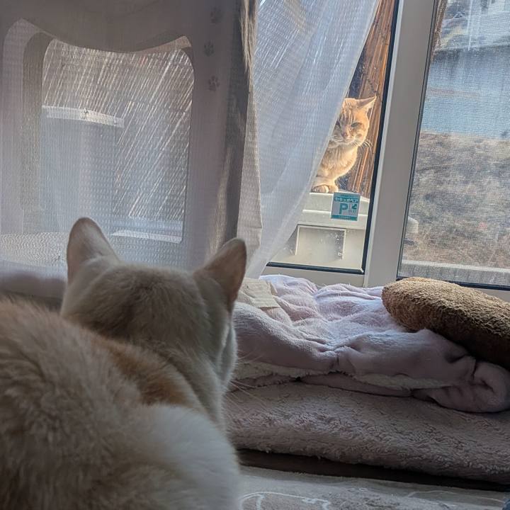 D69c8cc5 a205 4773 b740 0f15c3603972 1764308557057