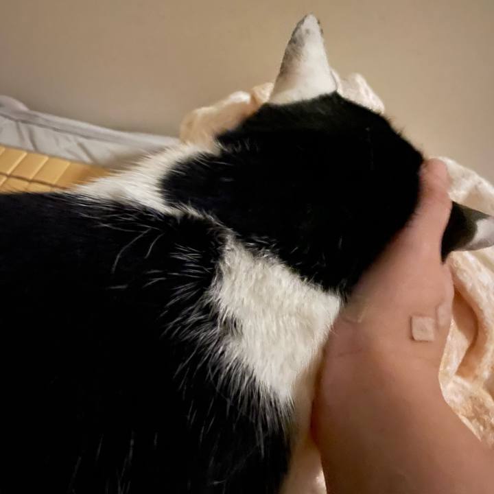 D69c927b 0e94 4d7e b546 3f342493b8b9 1757811279861