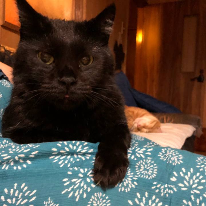 D69cac71 18aa 48fe b858 f63a0922eed9 1566047740949