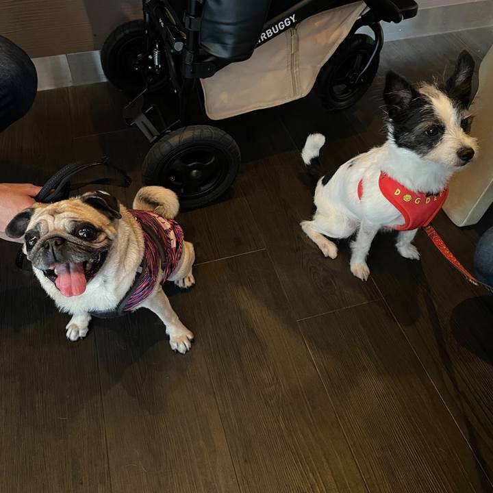 D69cb71c 2568 470c 92ed 54164e08161f 1666483107792