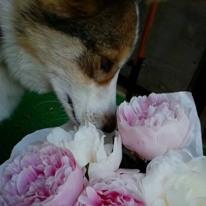 D69cc635 a4d7 43b5 8d12 7417f6fd9f18 1527948983367