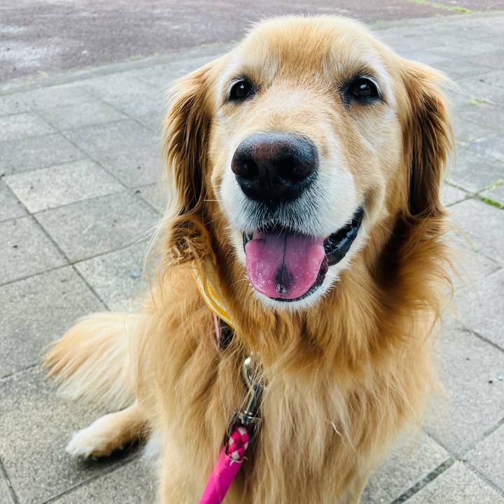 D69ccb77 3abd 45dd b669 f315258ed7af 1719529122249