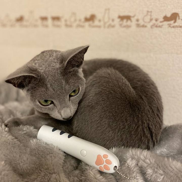 D69cd81c 2136 4325 952a e804868344bb 1640764806859