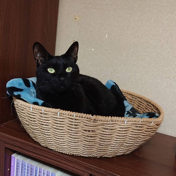 D69d187d 1179 419e bc11 0d40f85a2fcc 1649722385997