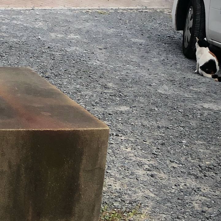 D69d1e6d 3af4 442f 8337 4b759759f7aa 1602022748041