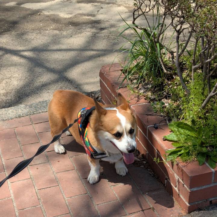 D69d2d65 25ac 401f bc6e 3ad62cddfc0a 1744187802003