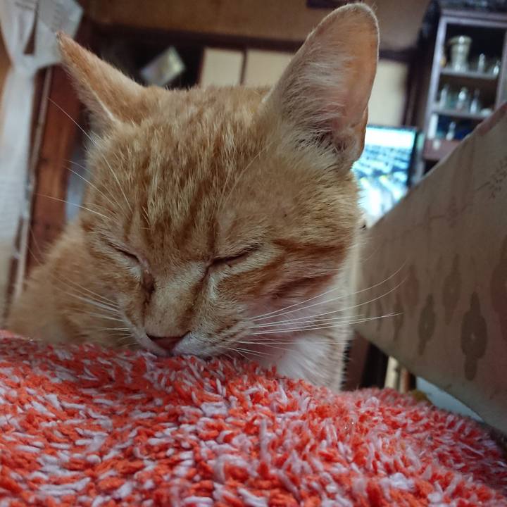 D69d59ab fd97 45e2 8189 3b1c228695b5 1558559620378