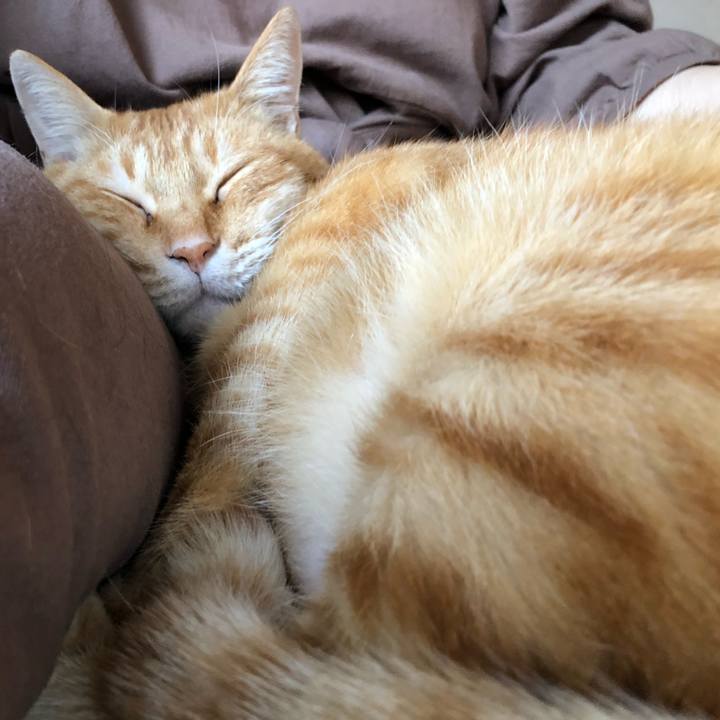 D69d5d1e a38b 4bd6 a516 c9c8446224f3 1603584033511