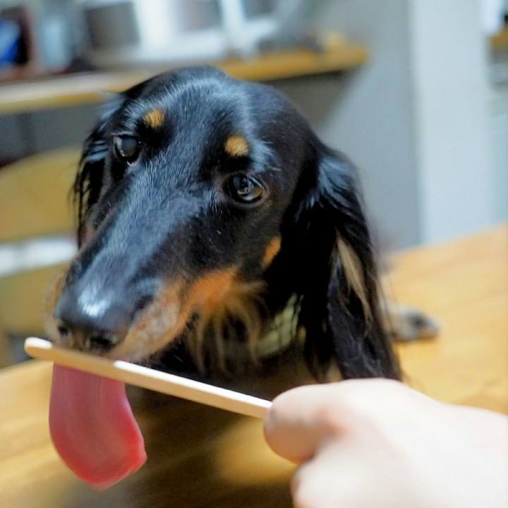 D69d837d 5fe7 44a6 81bd 935b0e7ec57e 1529327803024