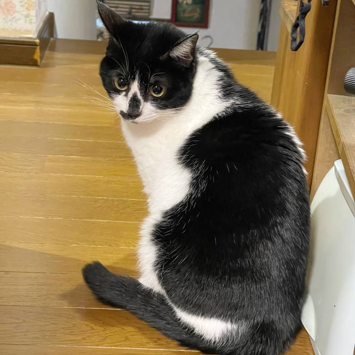 D69d9f97 9590 42b1 9aff 5f07a8d7083d 1765839343826