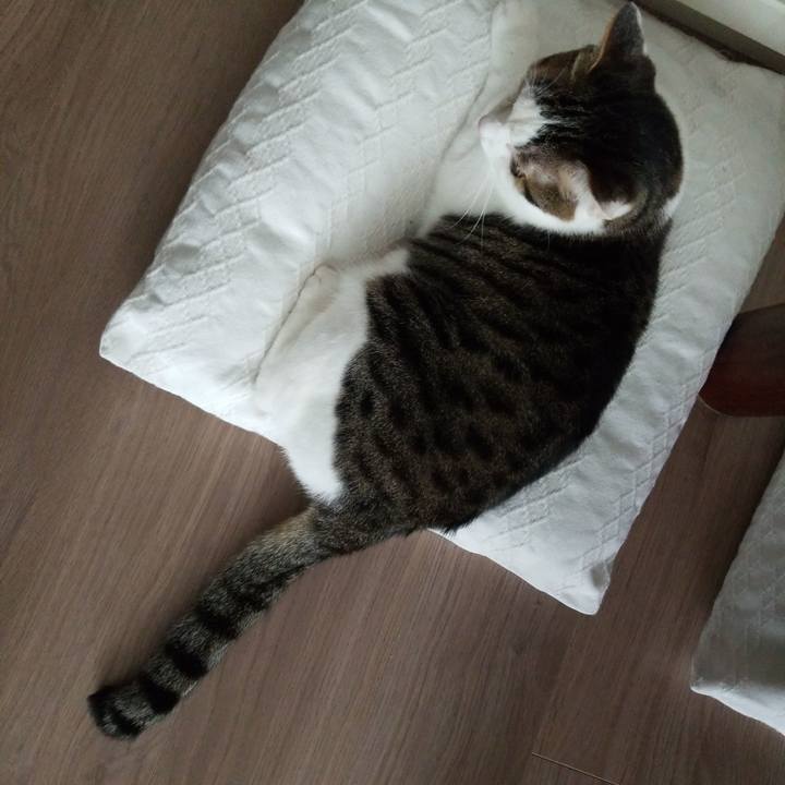 D69dba61 236e 4d10 a676 5f791786922a 1558647896184