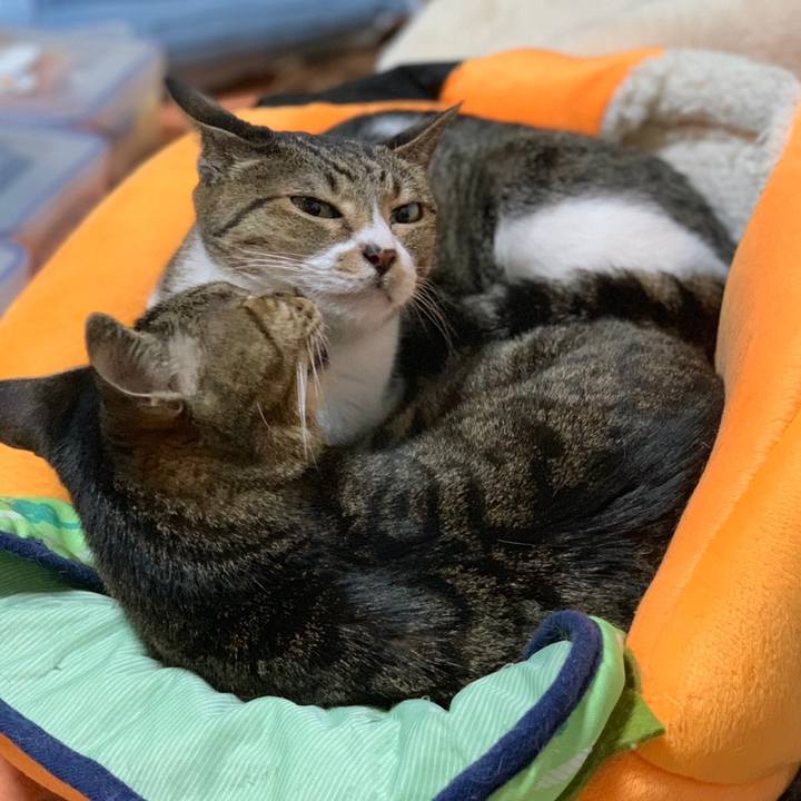 D69dc44c a8cd 48ec b1d9 791b9ba52b88 1560127364495