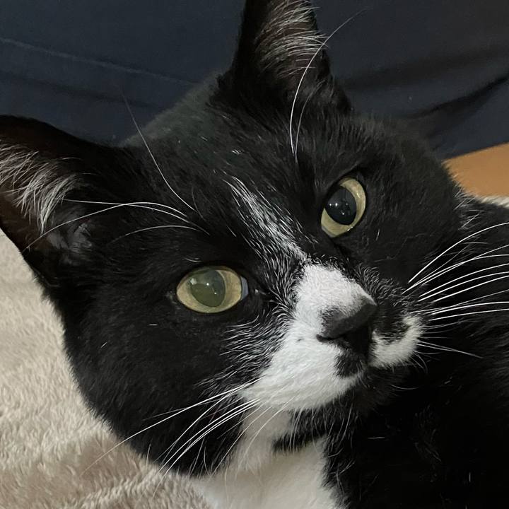 D69dd72e 3e0f 4240 b377 869c145a52ea 1681550984442