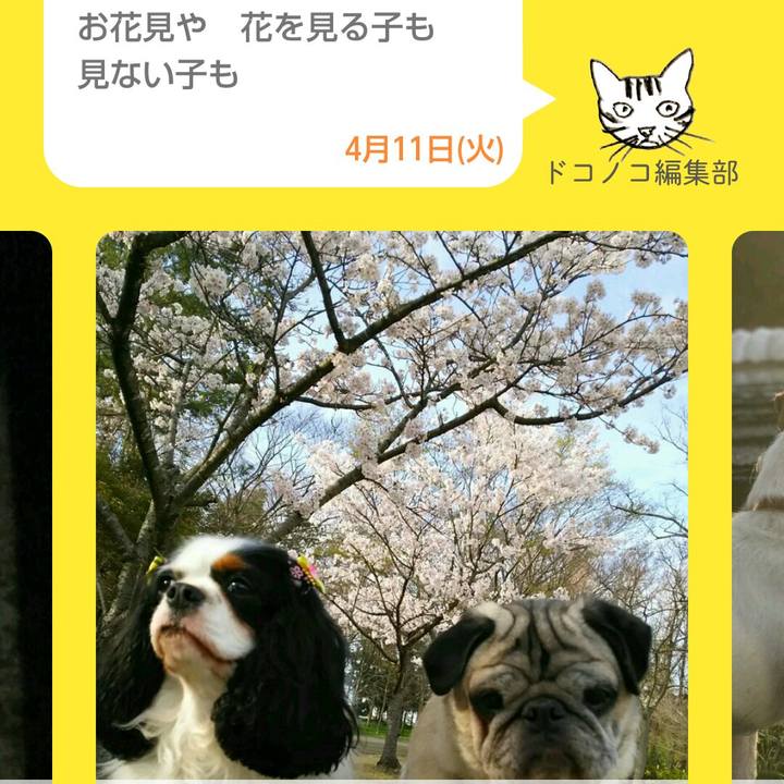 D69dd9cc fbbd 4a32 bef5 26ba3a8f14c2 1523421514076