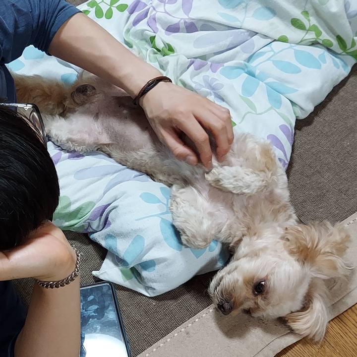 D69ded2d b587 48c4 9736 25f781817912 1662960687101