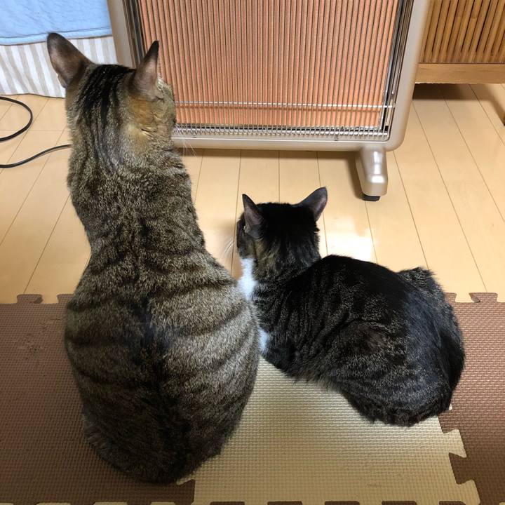 D69e1c6e a86f 4b16 883c 95b1e6ba7f90 1516985929510