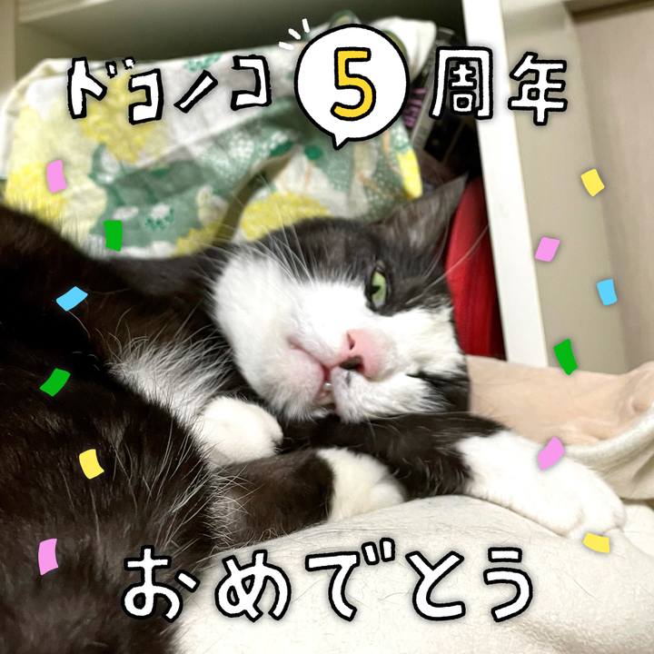 D69e4a1d 1397 45ea b6a8 3eb2a9bfe0a5 1623071137365