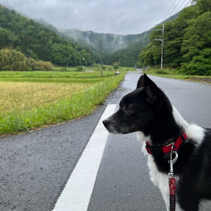 D69e4a62 37ed 46a7 8b67 3575111021cd 1685058690282