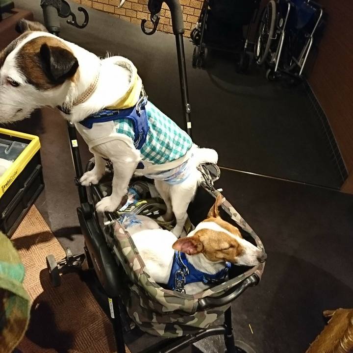 D69e4c86 ccdc 4645 bac8 dd447404c671 1524315075352