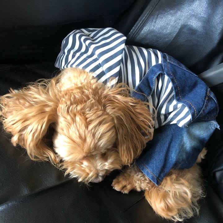 D69e56eb 4b05 48be 9aa3 e1b30d745242 1620015553821