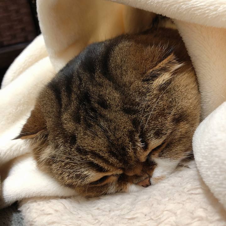 D69e6840 523d 42d7 8b08 8dfc91b46ef1 1550151011859