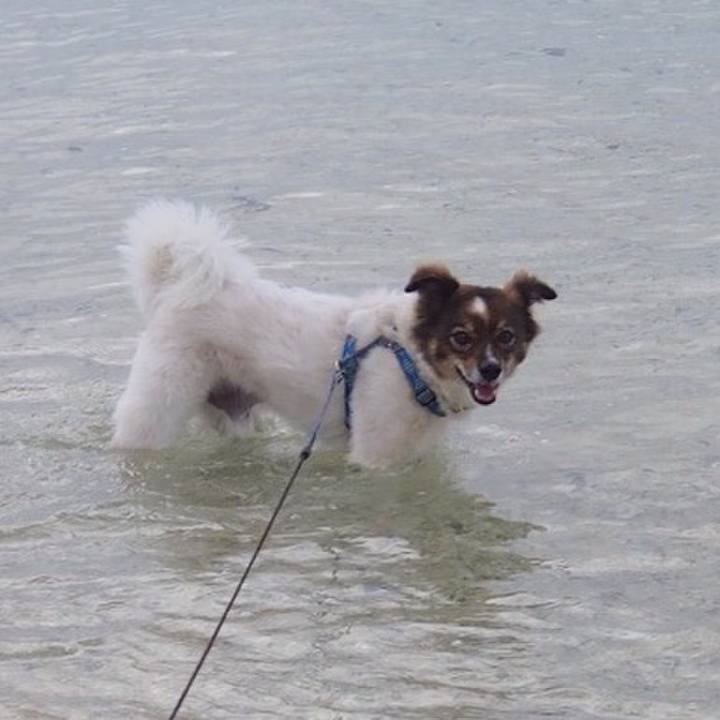 D69e7a38 9dfe 4c9c 9532 5a98784db147 1510204095905