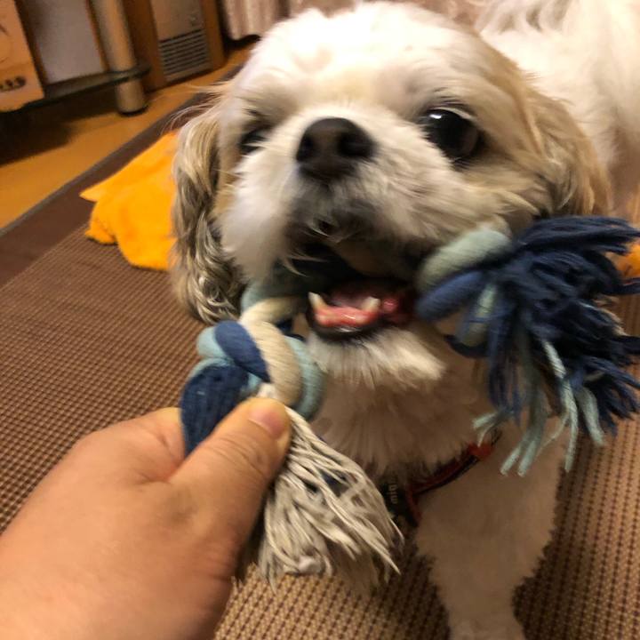 D69e9b1f 3da9 4568 a225 3aad2c0b1509 1596145257359