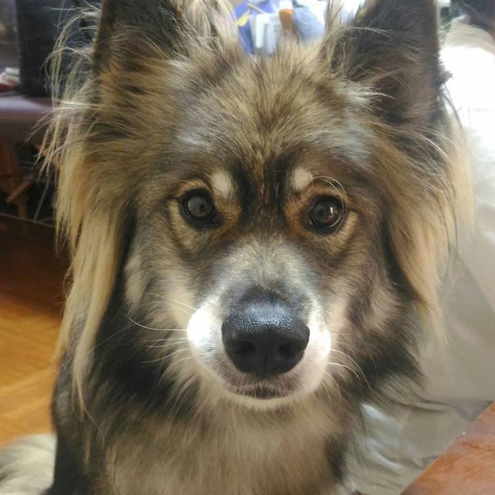 D69f0fda 760c 44de 8b03 86d45099af65 1539704458721