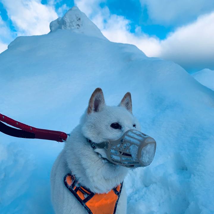 D69f3783 ca5d 47fe 8f02 cde75ce96210 1673134170523