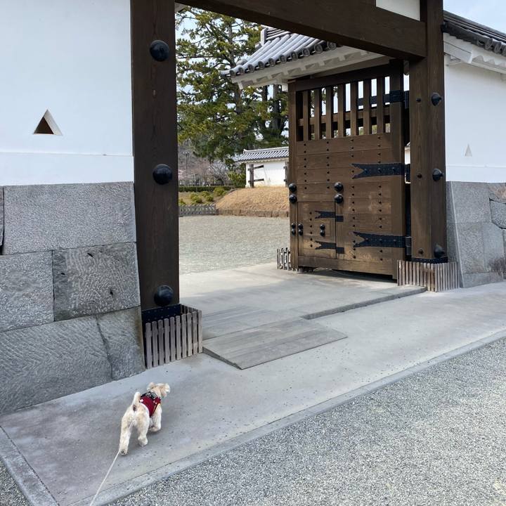 D69f58aa 28d0 438f b0a9 60ce0c62b945 1647351446868