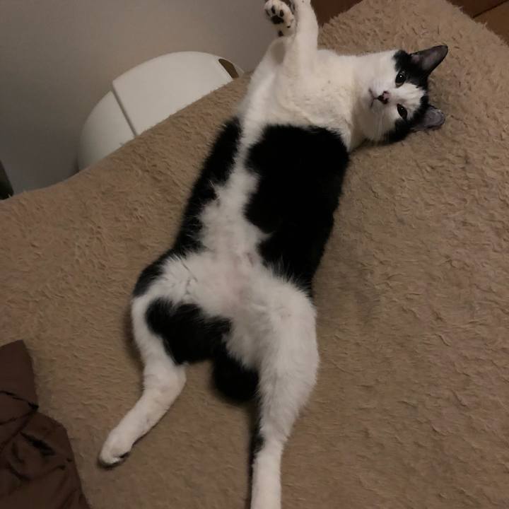 D69f9b87 db88 4be4 a033 7797a8ad5670 1556816420220